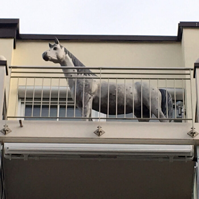 Pferd auf dem Balkon
