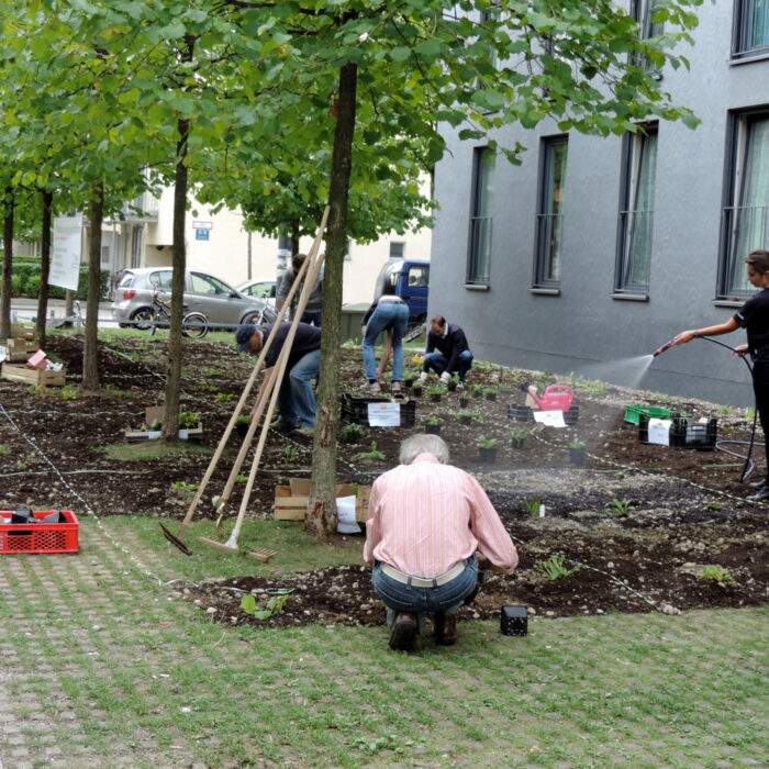 Aktionstag Wildblumenwiese mit EY