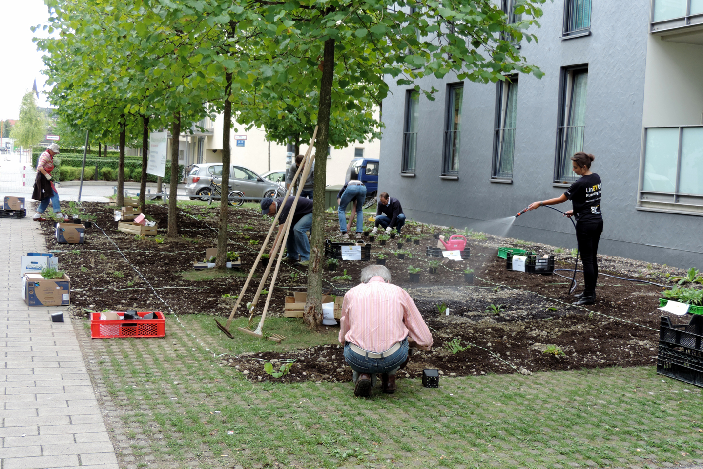 Aktionstag Wildblumenwiese mit EY